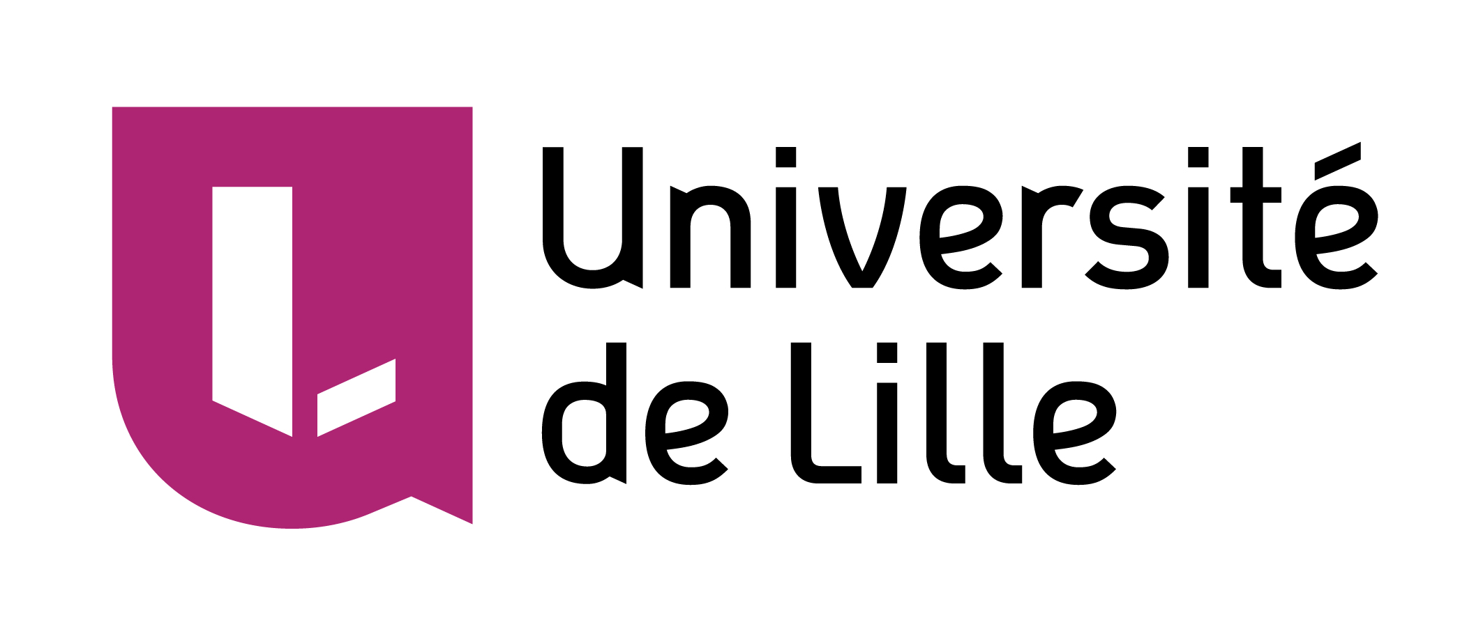 Université de Lille 
Formations en mathématiques au niveau Master de l’Université de Lille