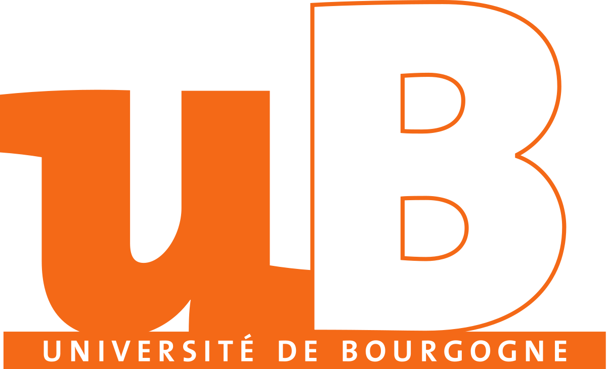 Université de Bourgogne 
Master Mathématiques pour l’Informatique Graphique et les Statistiques